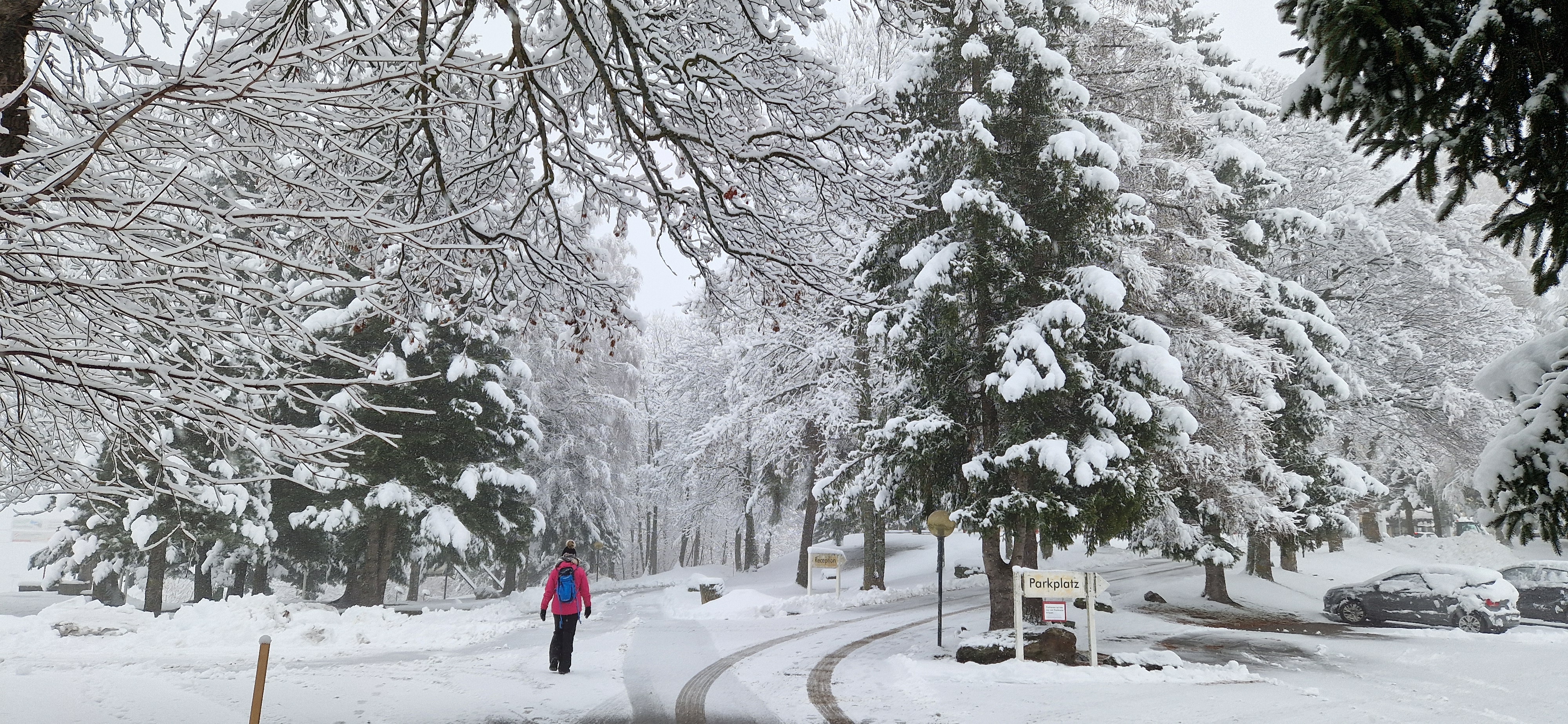 Einfahrt zum Disentiserhof im Winter