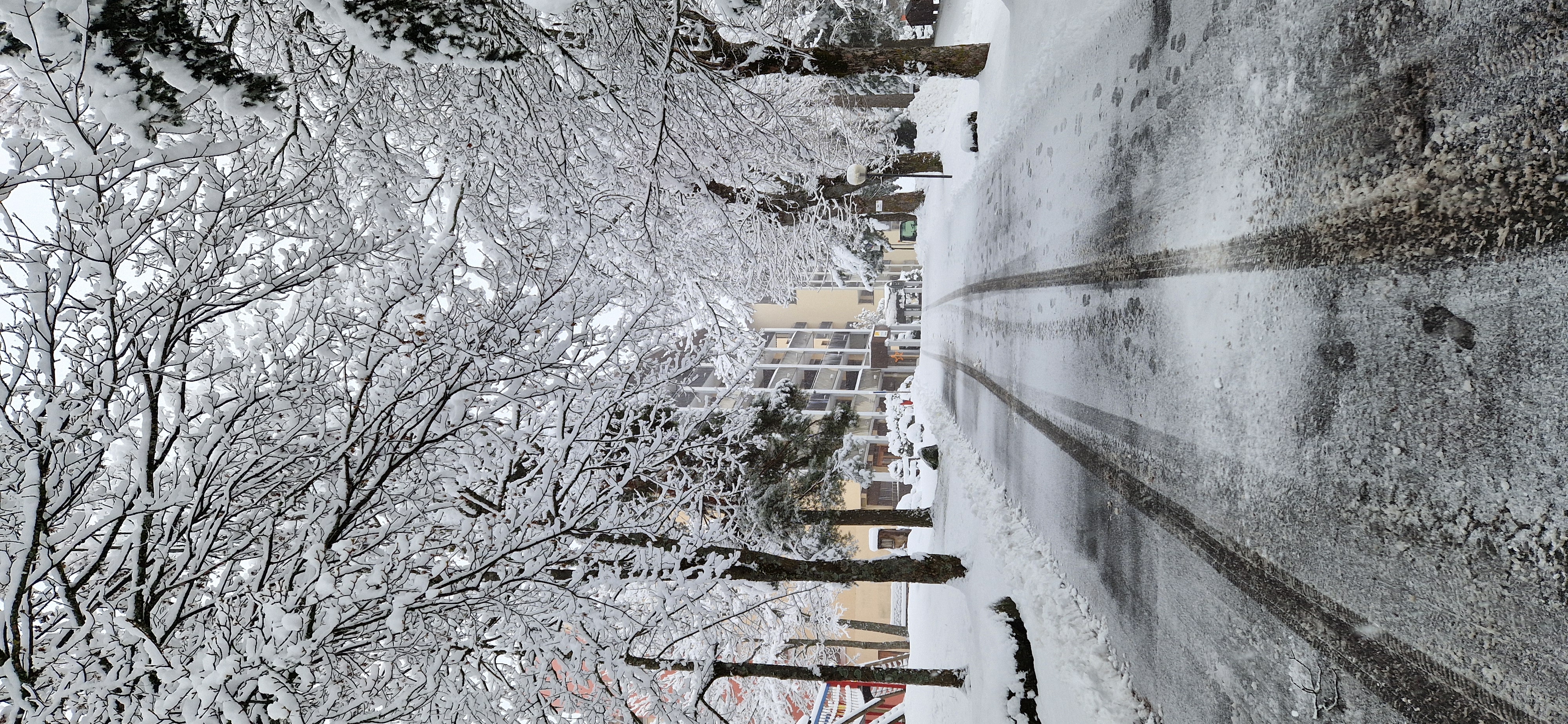 Disentiserhof im Winter